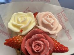 -哈根达斯(龙湖时代天街店)