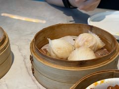 陶兰居虾饺皇-陶兰居·手工点心·粤菜(圆融时代广场店)