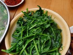 -周记翘脚牛肉