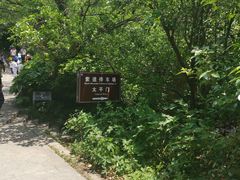 -紫金山索道-售票处