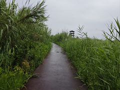 -漩门湾国家湿地公园