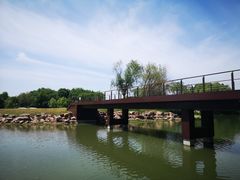 -梁鸿国家湿地公园