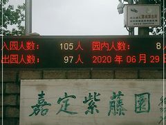 -嘉定紫藤园