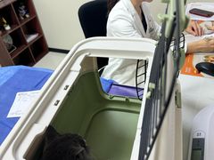 -美联众合动物医院·24h京西诊疗中心