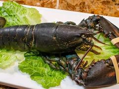 波士顿龙虾-船奇蒸汽海鲜·闽菜(八市海鲜总店)