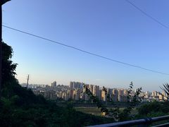 -顺季