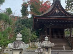 -有栖山 清光院 清水寺