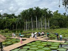 -中国科学院西双版纳热带植物园