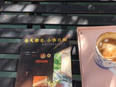 -喵屿·大理花园猫咖