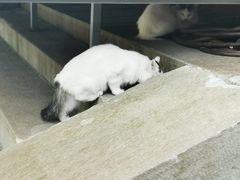 -大钟寺古钟博物馆