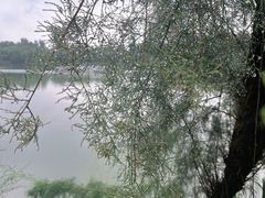 -河北省园博园