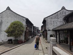 -真真老老(月河花鸟市场店)