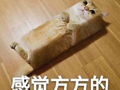 -CoCo都可(搜秀城店)