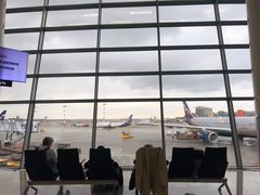 -谢列梅捷沃国际机场