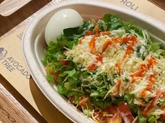 -油梨树AVOCADO TREE(嘉里中心店)
