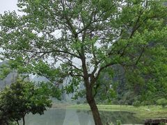 -钟山水墨田园
