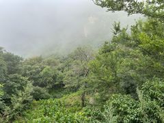 -妙峰山风景名胜区