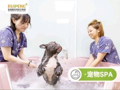 -美联众合爱康动物医院•复杂内科•肿瘤科•牙科•腔镜诊疗中心