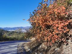 -北京西山国家森林公园