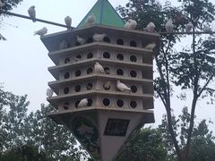 -南昌之星游乐场