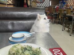 -蒙古人烤羊腿(裕兴路店)