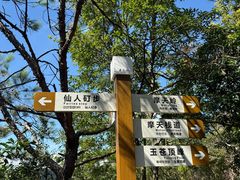 -玉苍山国家森林公园
