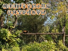 -广州动物园