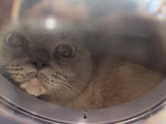 -佳雯宠物医院·皮肤科·内外科(春晓路分院)