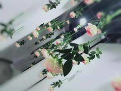 -苏州5D星空错觉艺术馆