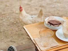 -春风习习