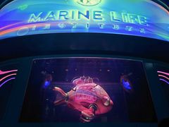 -海底巡游艇:尼莫和好友的海洋世界