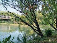 -昆山城市生态森林公园