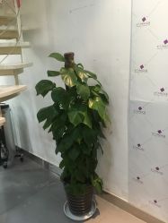 -永琪美容美发