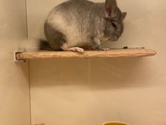 -龙猫仔乐园(惠福东路店)