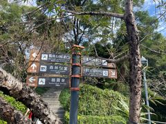 -金鸡山公园