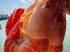-蟹天蟹地农家菜·阳澄湖大闸蟹(浅水湾店)