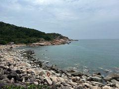 -广东惠东海龟国家级自然保护区