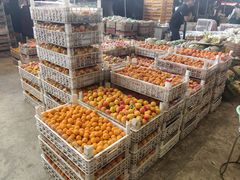 -东方鼎信农副产品交易中心