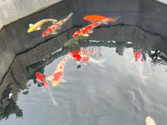 -西安市广仁寺