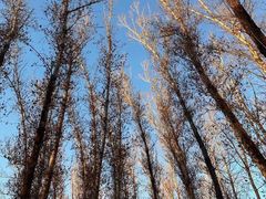 -云蒙山风景区