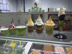 -Salud撒露欧洲冻酸奶(北苑上品店)