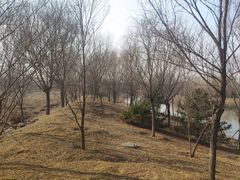 -东郊湿地公园