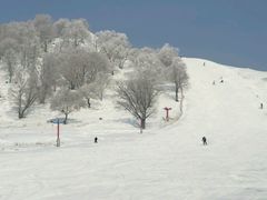 -神鹿雪场