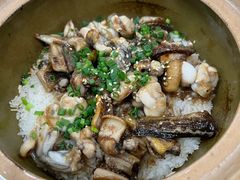 -红星光发煲仔饭(文海店)