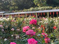 -人民公园(罗湖区)