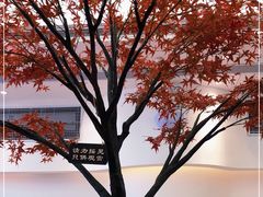 -艾薯夫妇Aysh(福田星河COCOPark店)