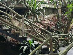 -海南槟榔谷黎苗文化旅游区
