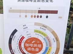 -Torch Coffee 炬点咖啡