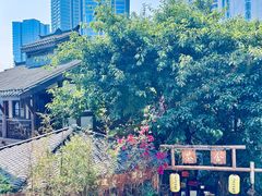 -重庆十八梯传统风貌区