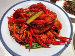 -杨氏青龙虾·羊蝎子(托乐嘉店)